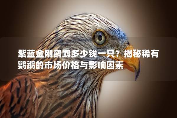 紫藍(lán)金剛鸚鵡多少錢一只？揭秘稀有鸚鵡的市場價(jià)格與影響因素